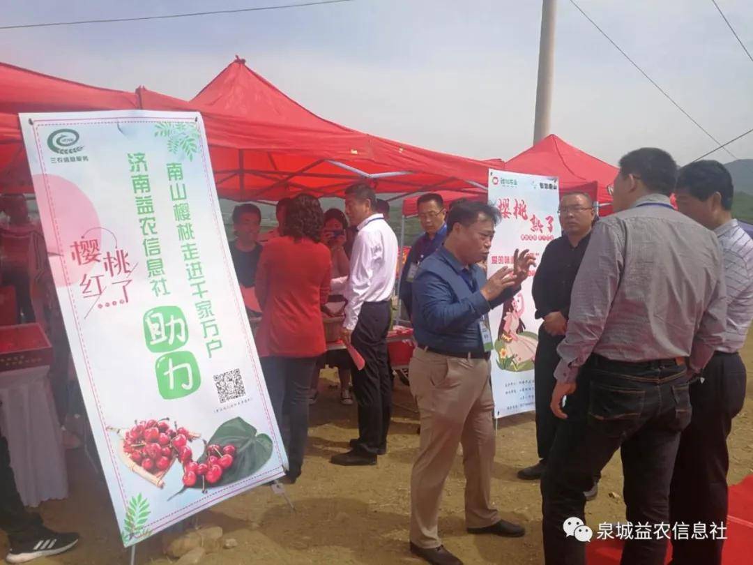 樱桃社新动态,樱桃社新动态，引领科技潮流，重塑生活体验
