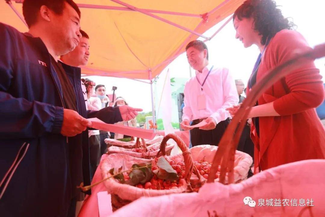 樱桃社新动态,樱桃社新动态，引领科技潮流，重塑生活体验
