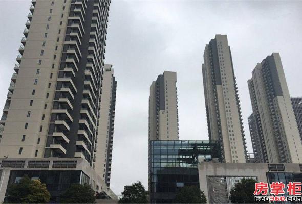 宜昌新华广场最新价格揭秘，温情故事背后的价格走势