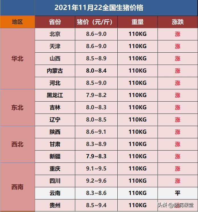 最新饲料行情与行业趋势深度解析，市场动态分析与趋势展望