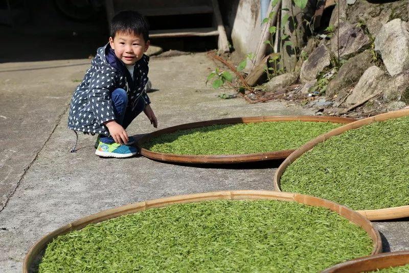 余桂圆最新动态揭秘，自然之旅探寻内心平和与宁静的奥秘