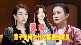 我是演员，背景、历程、影响与地位的完整呈现