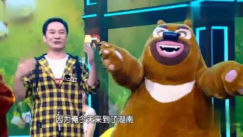 熊二配音演员揭秘，幕后英雄与声音的力量