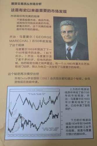 狄马克最新动态揭示股市风云变幻，洞悉未来趋势的预言家之眼