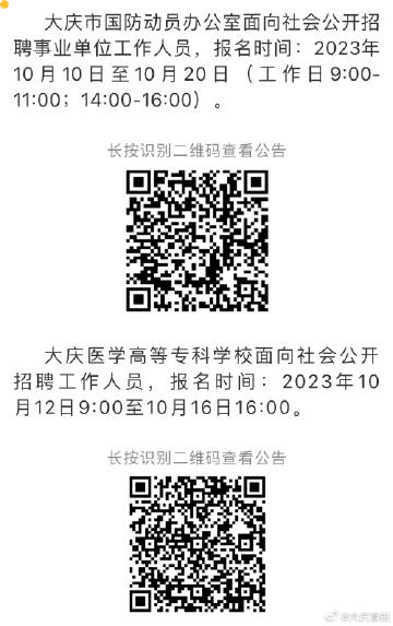 大庆最新招聘资讯深度解析与观点论述
