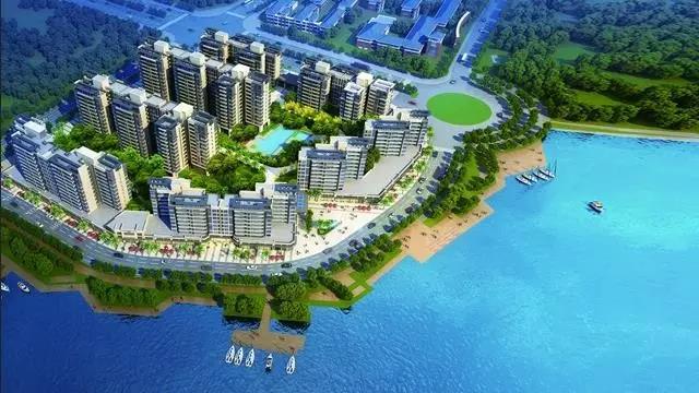 阳江最新资讯全面解析，观点阐述与分析