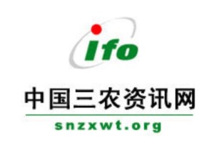 国网最新资讯，引领电力行业创新与发展之路