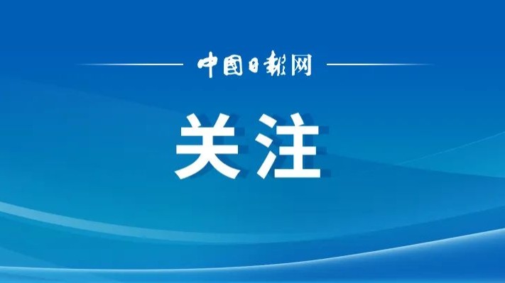 国网最新资讯，引领电力行业创新与发展之路