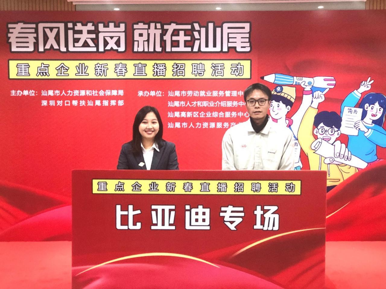 比亚迪最新招工,比亚迪最新招工，小巷深处的匠心之作，等你来探索！