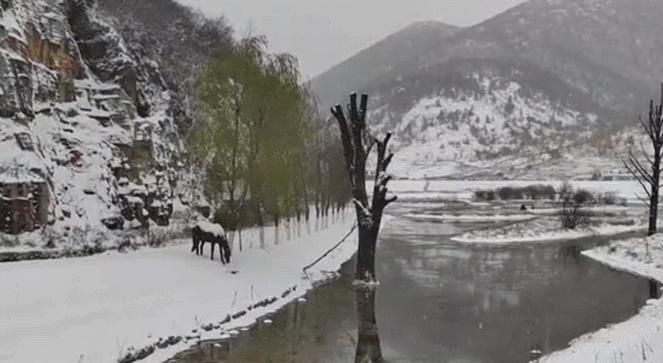 “重庆实时气温”,重庆实时气温，历史背景、重要事件与地位