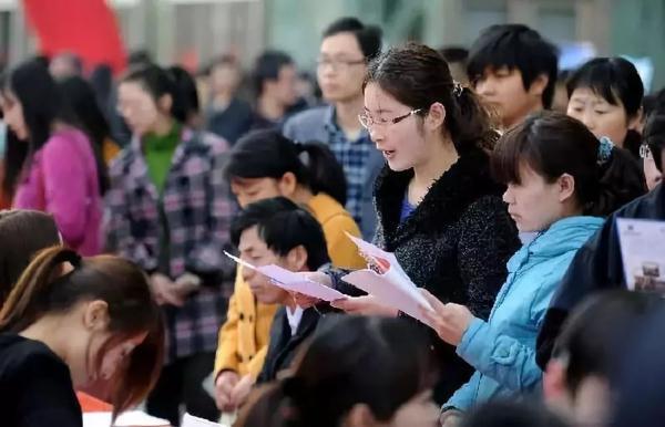 通化最新招聘信息揭秘，求职之旅的奇妙探索