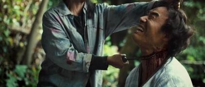金福南杀人事件电影深度解析与探讨，背后的故事引人深思