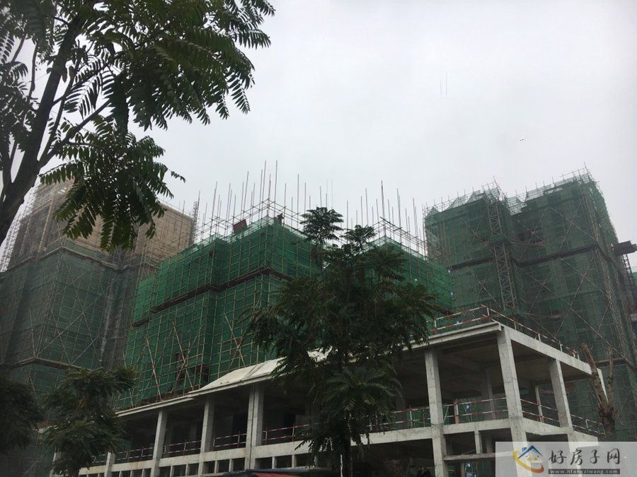 邛崃御府最新动态更新，最新消息与进展
