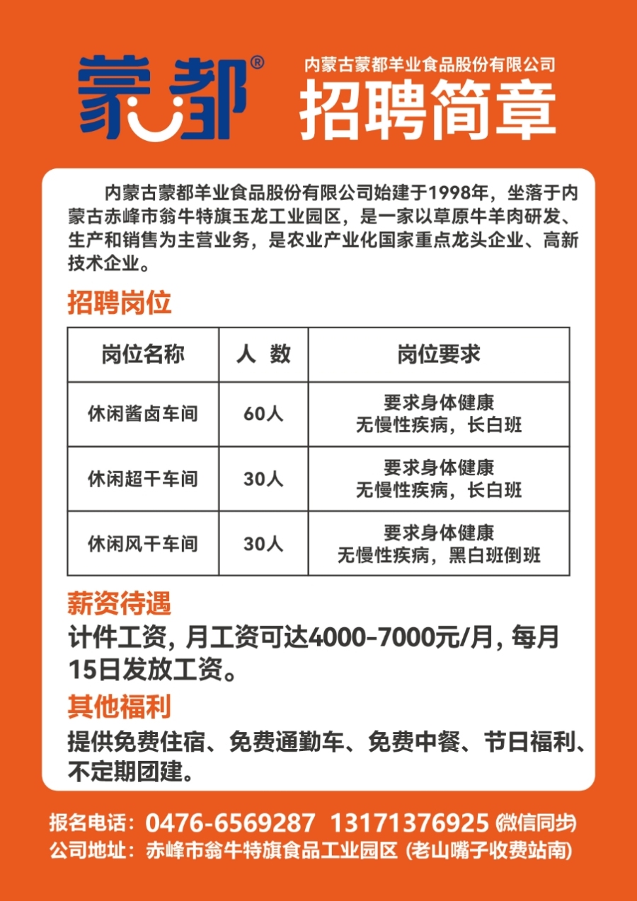 阳春最新招聘信息平台，巷弄深处的人才宝藏探索特色招聘小店