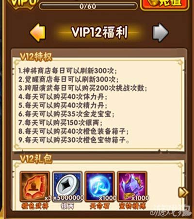 少年三国志VIP特权揭秘与价格表，小巷宝藏店的神秘探索