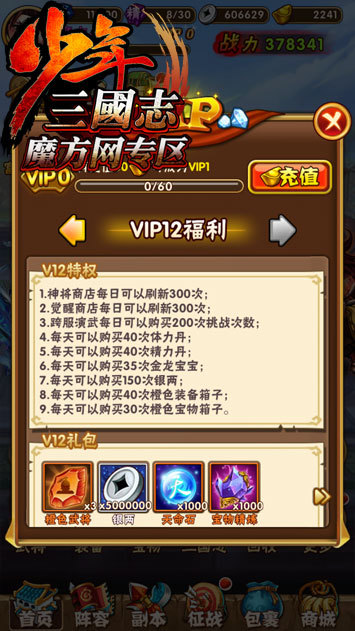 少年三国志VIP特权揭秘与价格表，小巷宝藏店的神秘探索