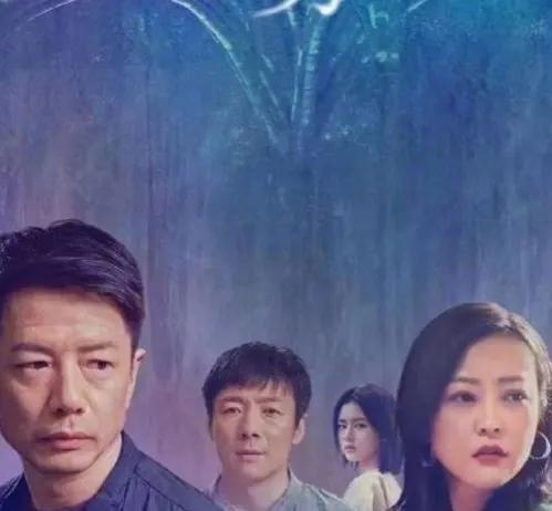 最新剧集推荐，探索自然美景之旅，寻找内心的宁静与平和