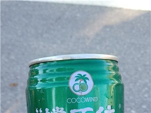 演员王朋朋的彩色生活，爱与陪伴的温馨日常