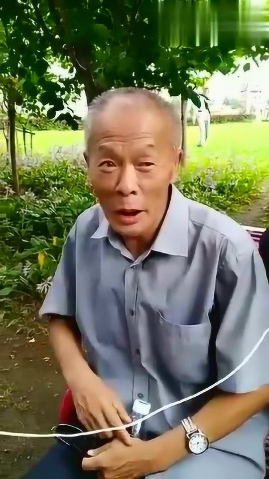 杨大爷最新资讯，日常趣事、友情纽带与温馨生活的点滴