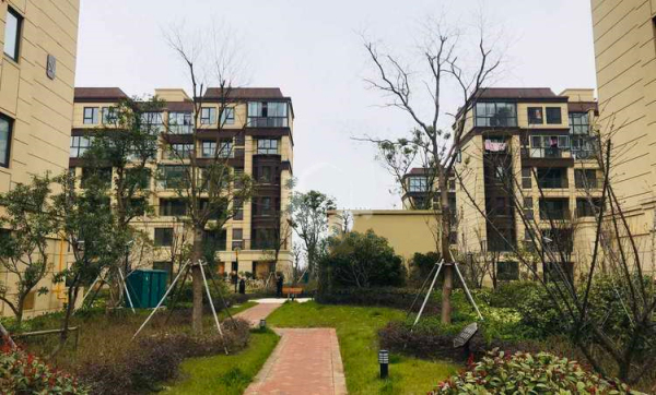 张浦碧悦湾最新开盘动态及市场走势分析，正反观点与个人立场探讨