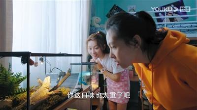 冰糖演员,冰糖演员，小巷深处的甜蜜诱惑