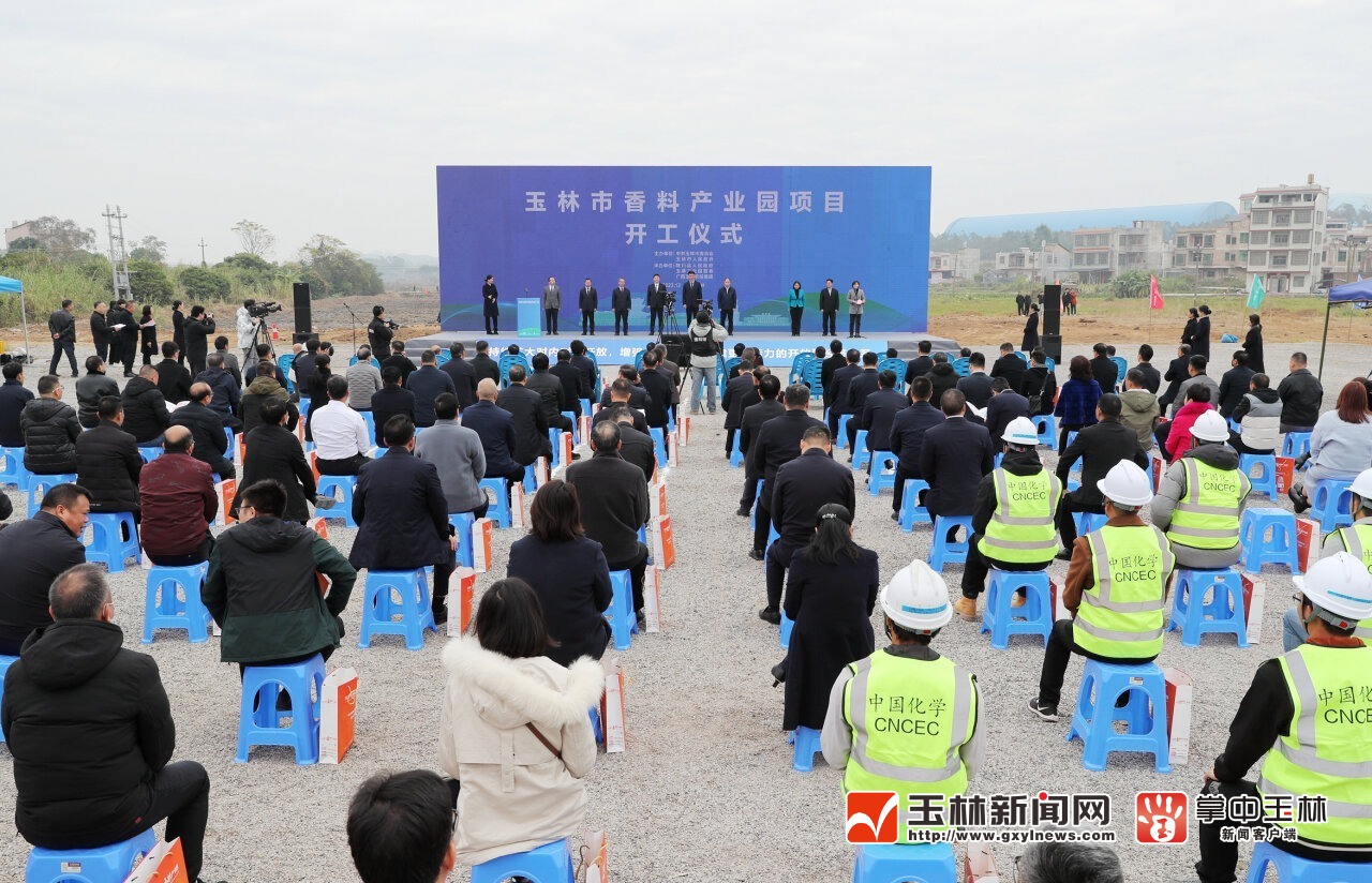 玉林最新新闻，城市角落的温馨日常