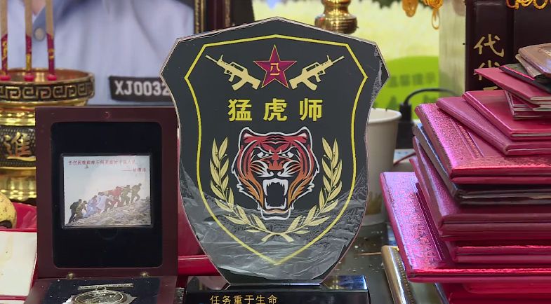老虎师最新动态深度解析，背景、重要事件与地位揭秘