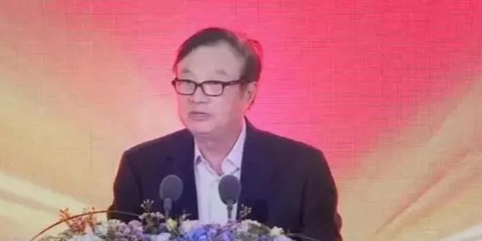 任正非最新言论及其深度解析