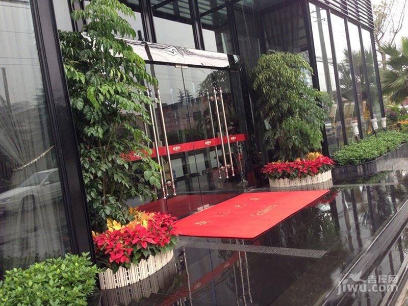 新都新派客最新动态详解，任务完成与技能学习指南