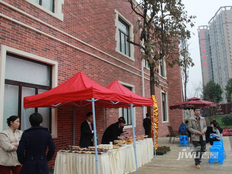 新都新派客最新动态详解，任务完成与技能学习指南