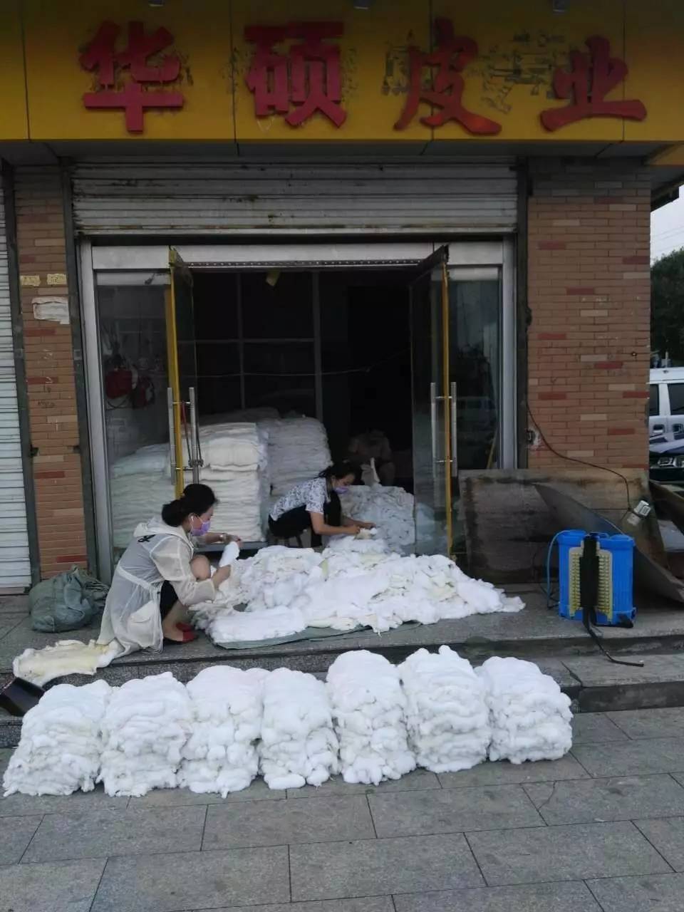 河北尚村兔皮最新行情深度解析与观点论述