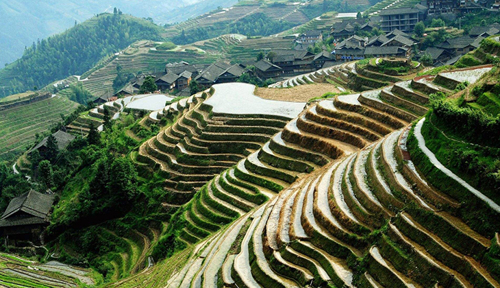 龙脊梯田最新美景图揭秘，小巷秘境与独特小店探访之旅