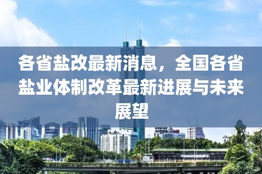 山东盐业改革最新动态展望至2025年