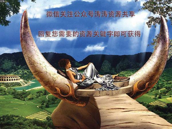 沙海电视剧免费观看，探索隐秘宝地