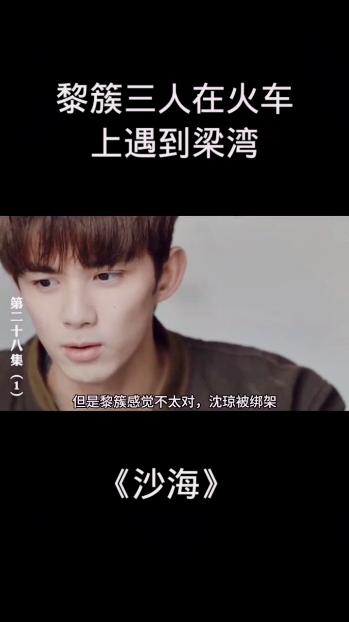 沙海电视剧免费观看，探索隐秘宝地