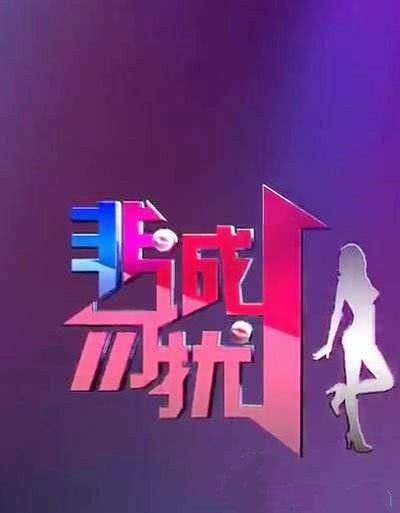 非诚勿扰最新一期主题曲，爱的旋律与日常趣事交织的魅力时刻