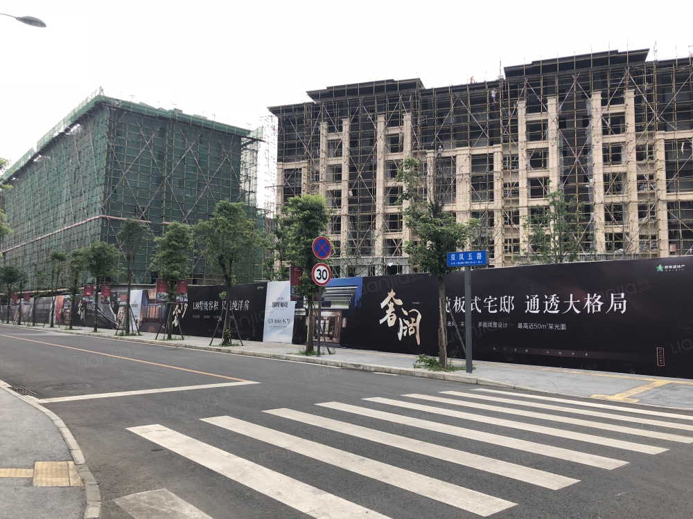 锦悦楠庭最新动态，与自然美景的邂逅，探寻内心平和宁静之旅
