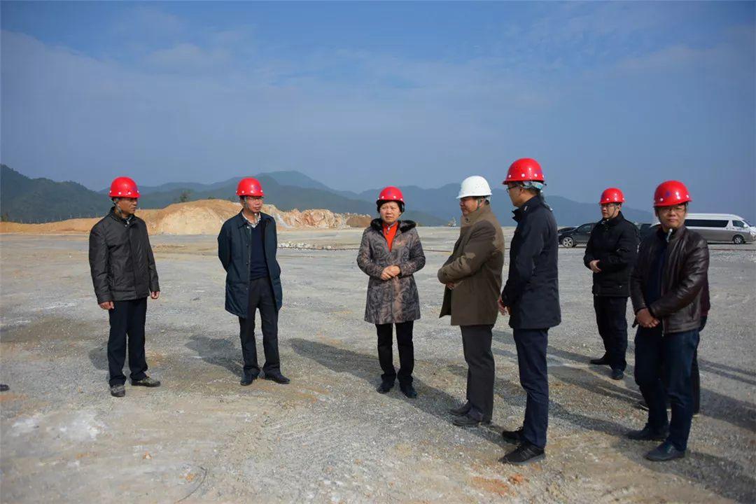龙洲新城最新住宅价格概览，市场现状与个人观点分析