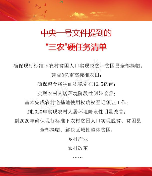 最新中央政策文件解读与任务完成指南