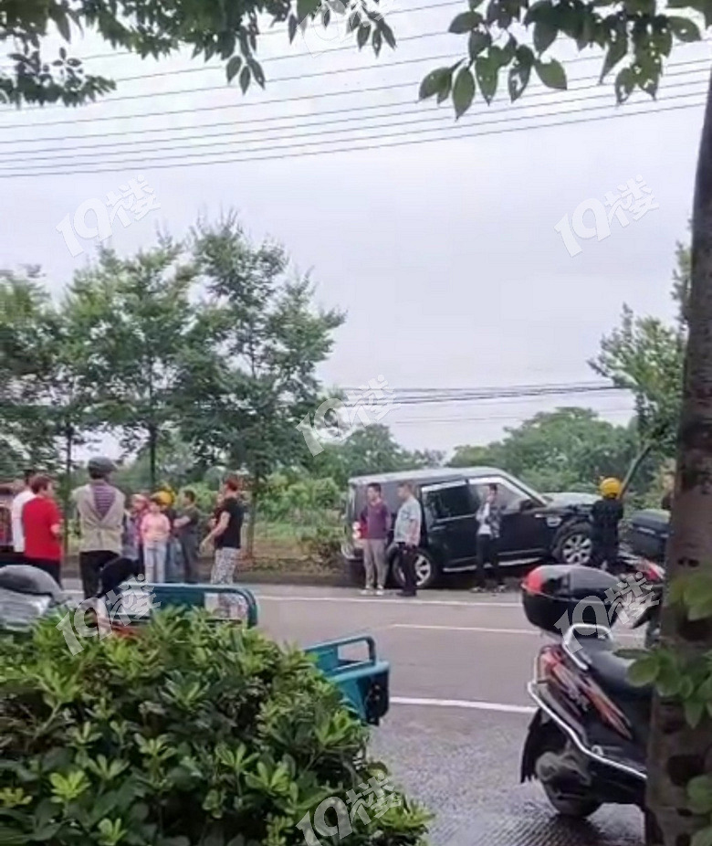 海宁车祸最新动态与寻找内心宁静的自然美景之旅