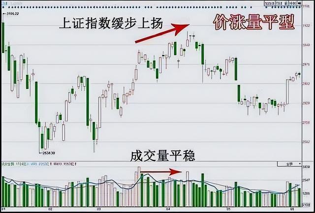 股票惜售背后的秘密与小巷独特小店探秘