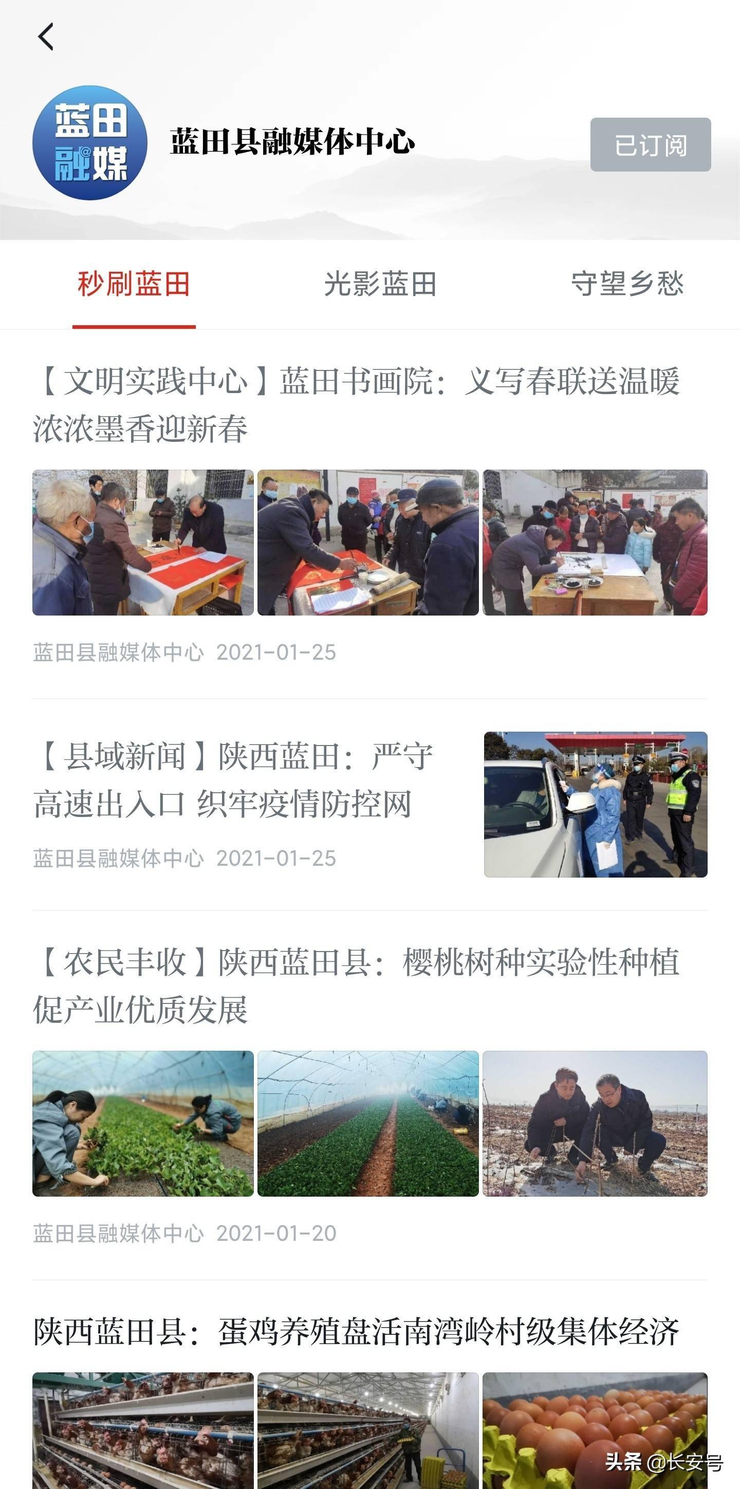 蓝田资讯深度解析，观点与影响力探究