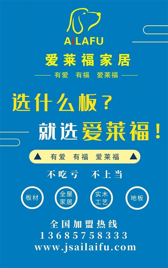 爱福家最新动态，小巷中的独特风味探索之旅揭秘