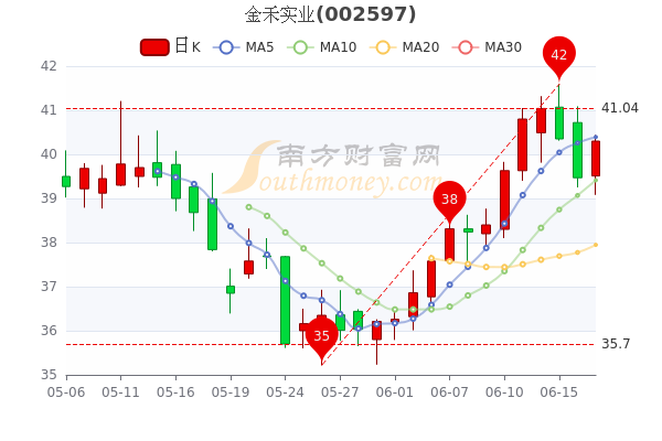 金禾实业股票投资指南，适合初学者与进阶用户的投资宝典