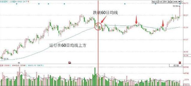 小天鹅股票，小巷深处的投资明珠