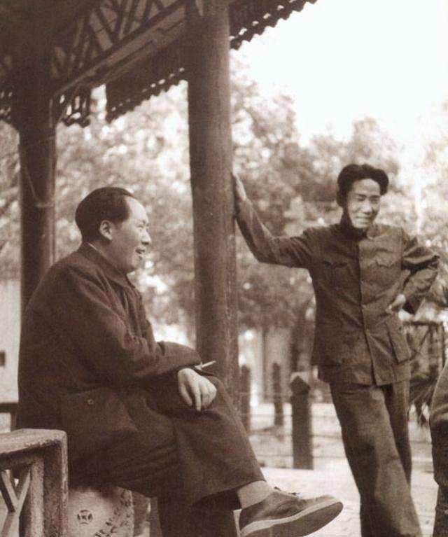 最新再婚生育政策动态解析与更新