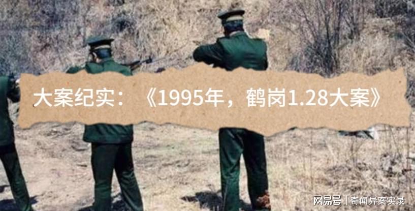 鹤岗大案纪实电视剧制作指南，从初学者到进阶用户的步骤详解