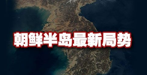 半岛最新局势与温馨日常，爱与陪伴的半岛奇妙旅程