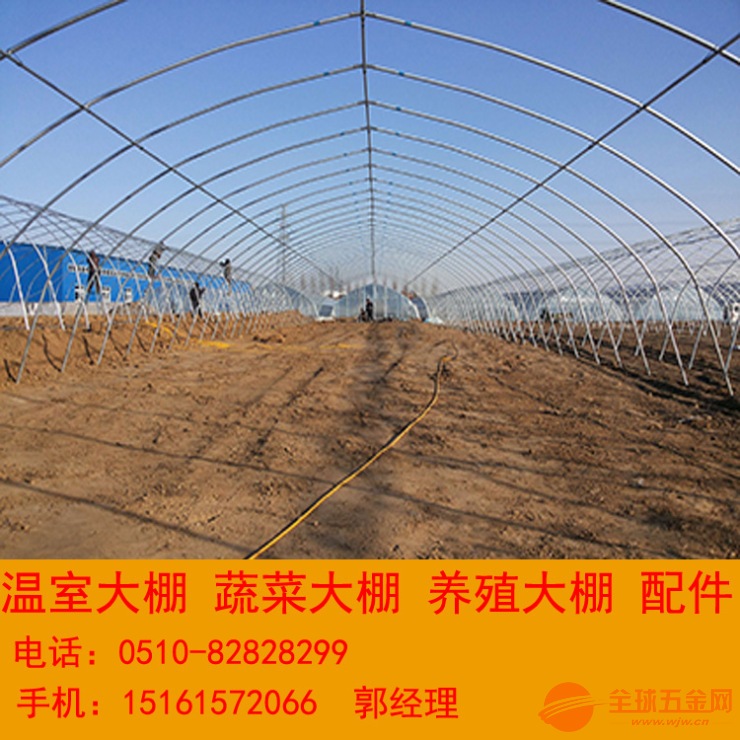 大棚钢管价格最新动态，与自然美景对话的旅行启示