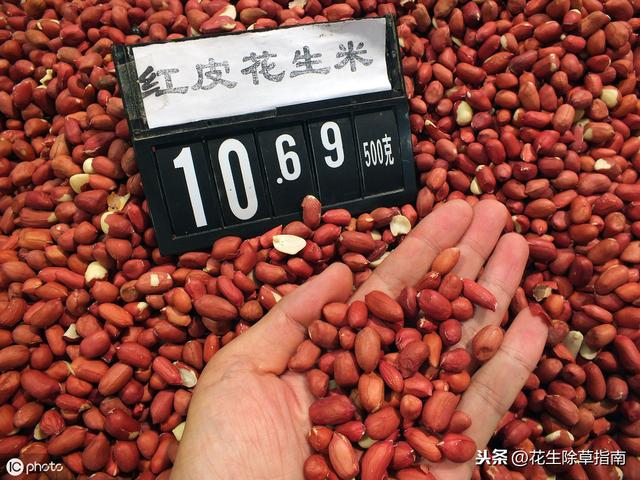 广西花生米最新市场价格行情概述